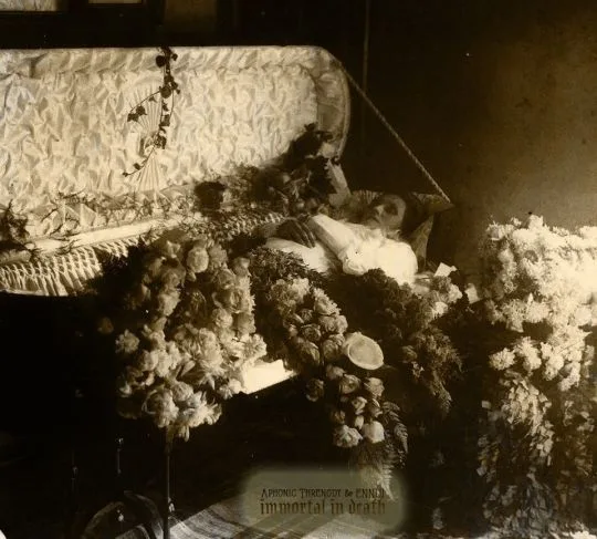 Immortal in Death cover