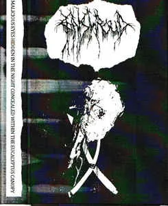 Malicious Eyes Hidden in the Night Concealed Within the Eucalyptus Canopy cover