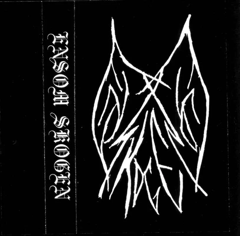 Ensom Skogen cover