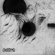 Crossing cover