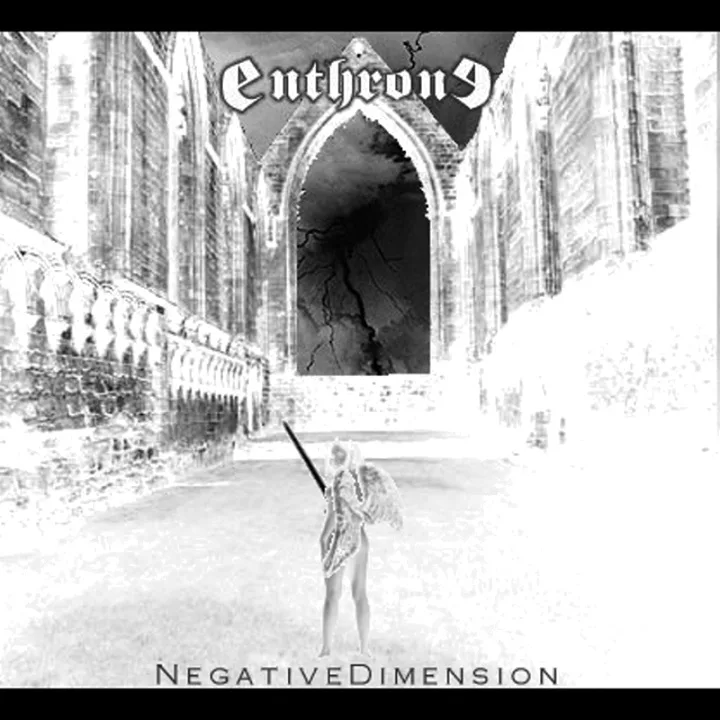 Negative Dimension cover