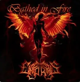 Bathed in Fire cover