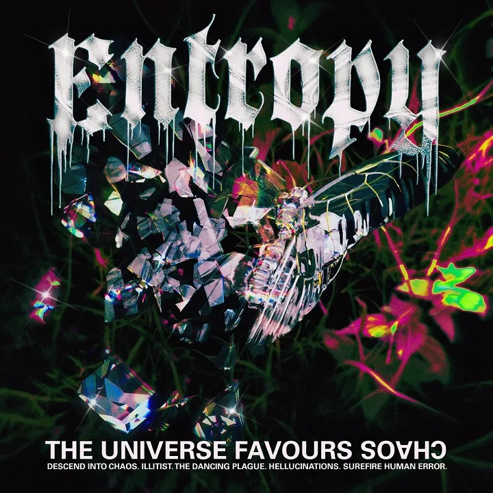 The Universe Favours Chaos cover