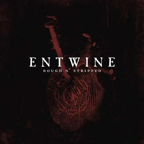 Rough n' Stripped cover