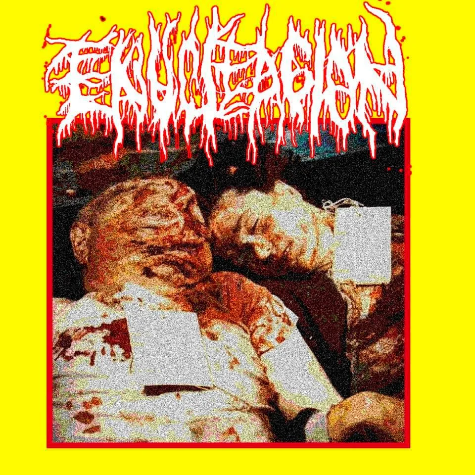 Fisura cover