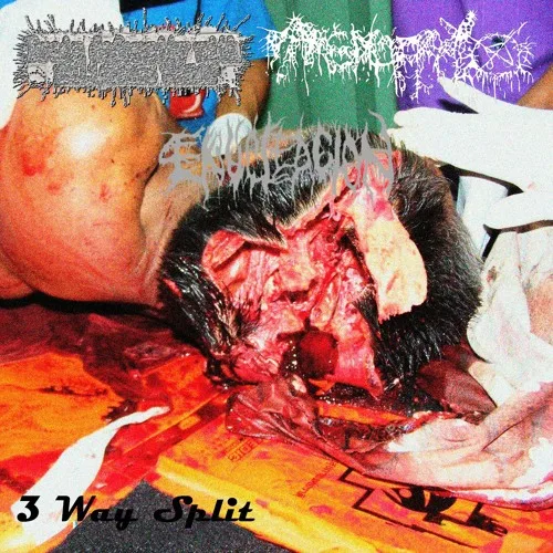 3 Way Split cover