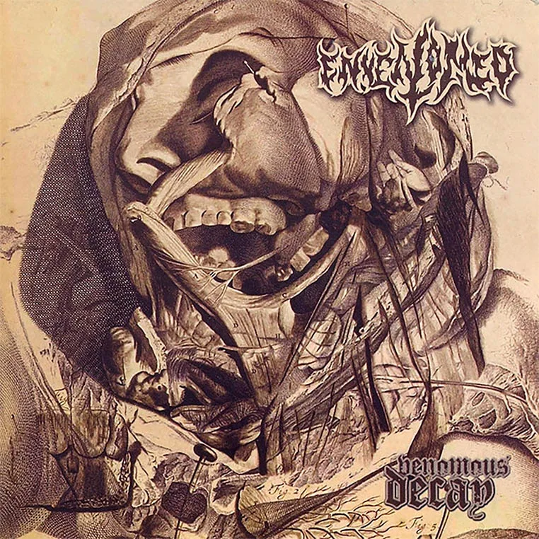 Venomous Decay cover