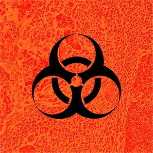 Hazardous Doom cover