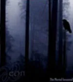 The Witch's Mirror cover