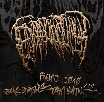 Promo 2010 cover