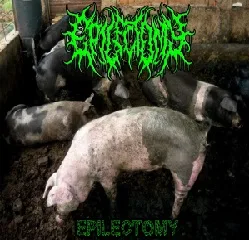 Epilectomy cover