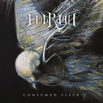 Consumed Flesh cover