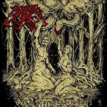 Teratogenesi cover