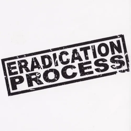 Demo 2007 cover