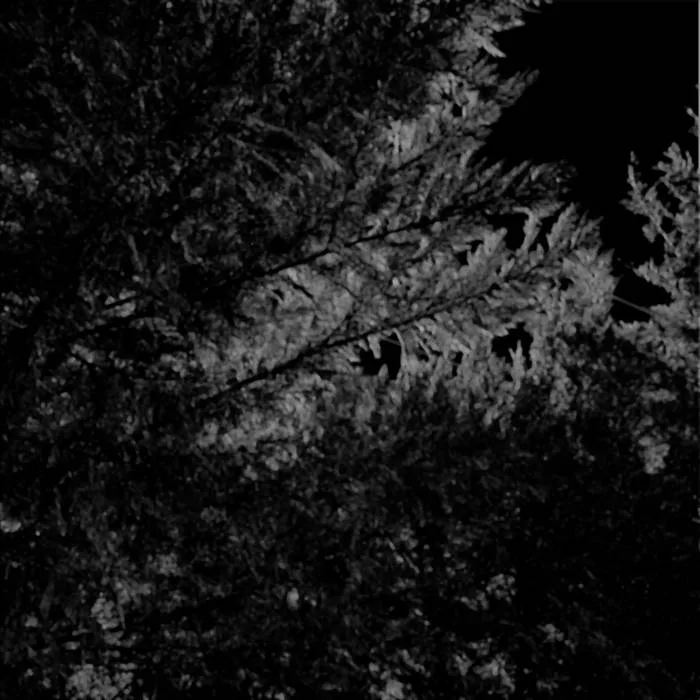 Descent cover