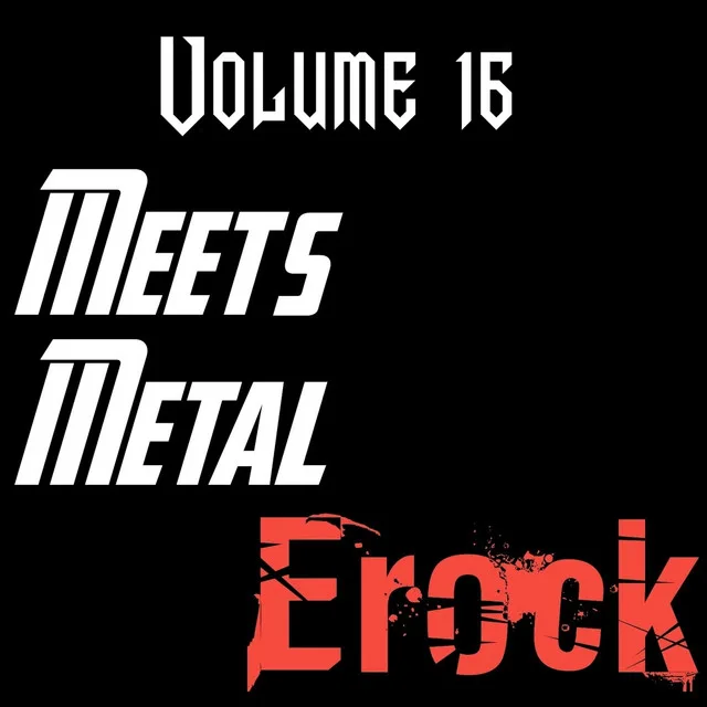 Meets Metal Vol. 16 cover