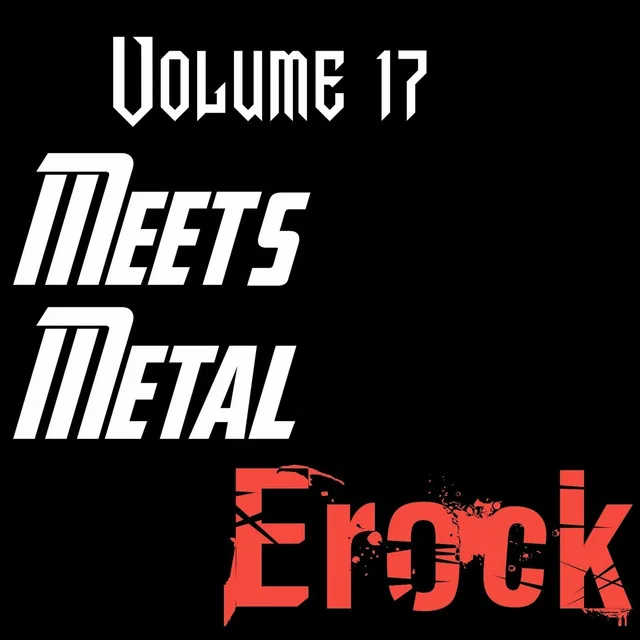 Meets Metal Vol. 17 cover