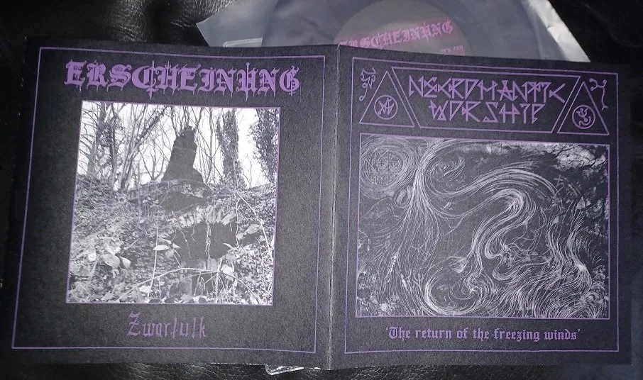 The Return of the Freezing Winds / Zwartulk cover