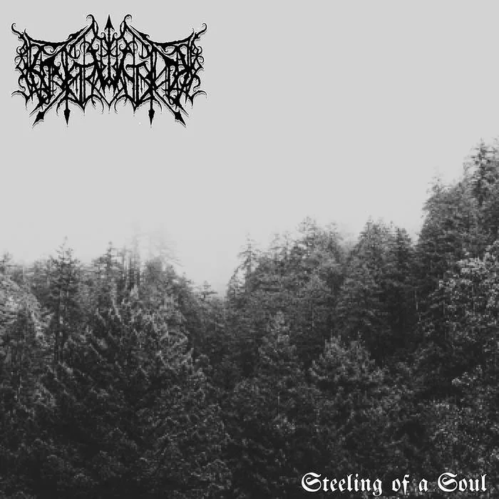 Steeling of a Soul cover