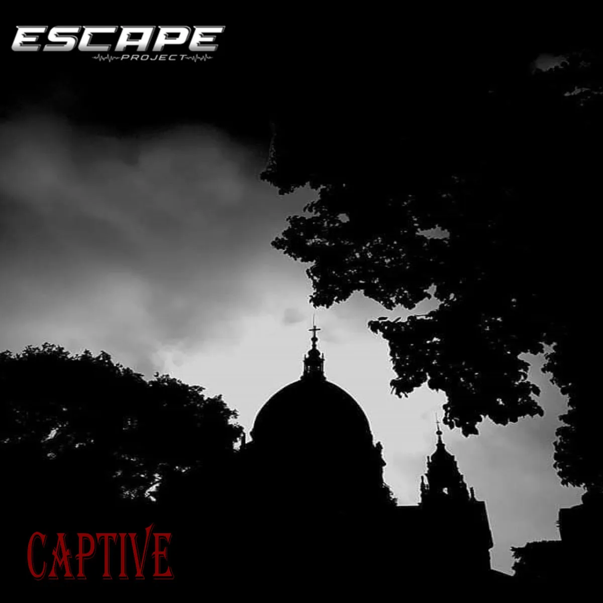 Captive cover