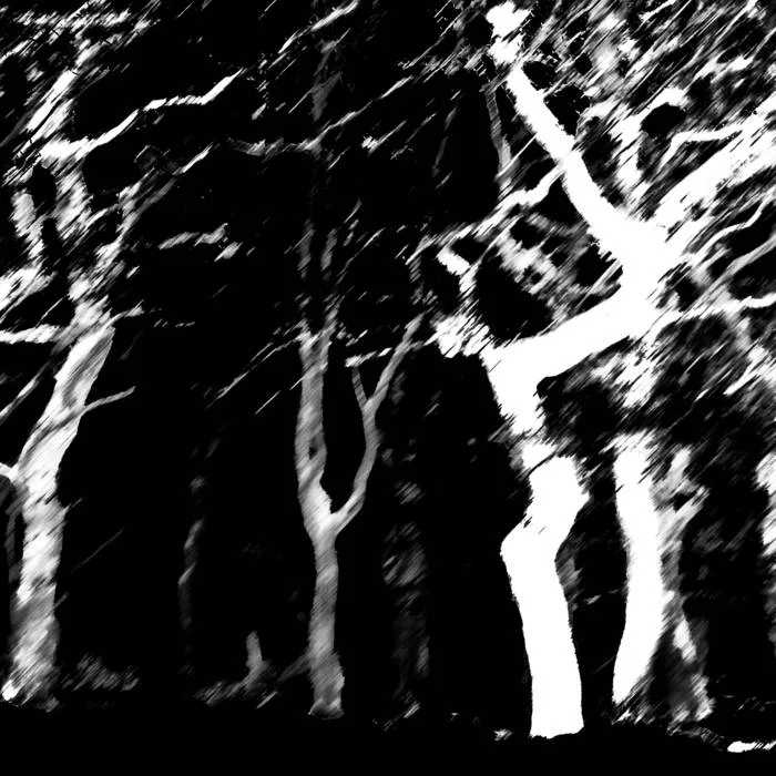 Desolate Winter cover