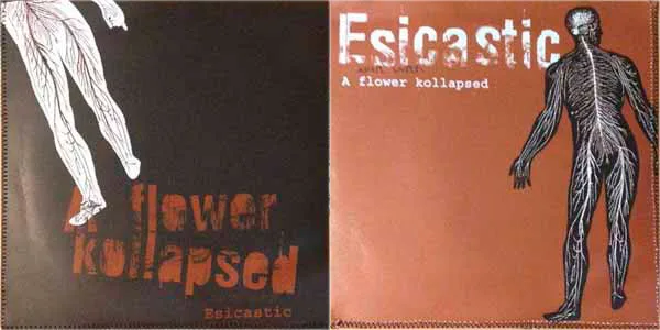 A Flower Kollapsed / Esicastic cover