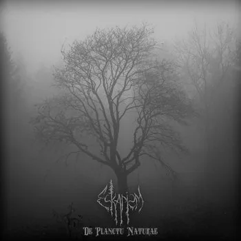 De planctu naturae cover