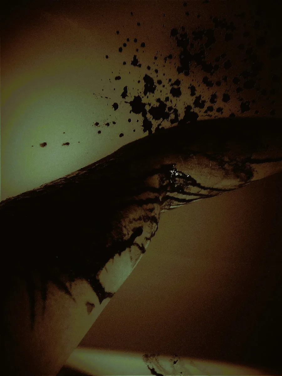 Attempt of Suicide cover