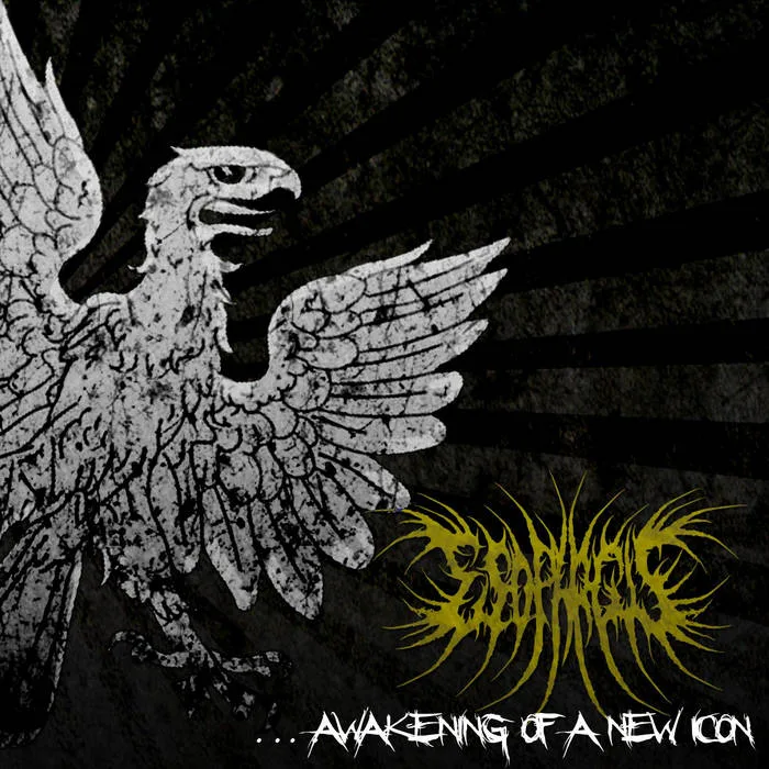 ...Awakening of a New Icon cover