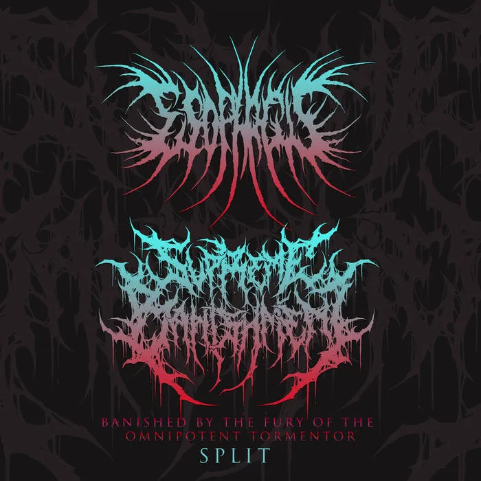 Banished by the Fury of the Omnipotent Tormentor cover