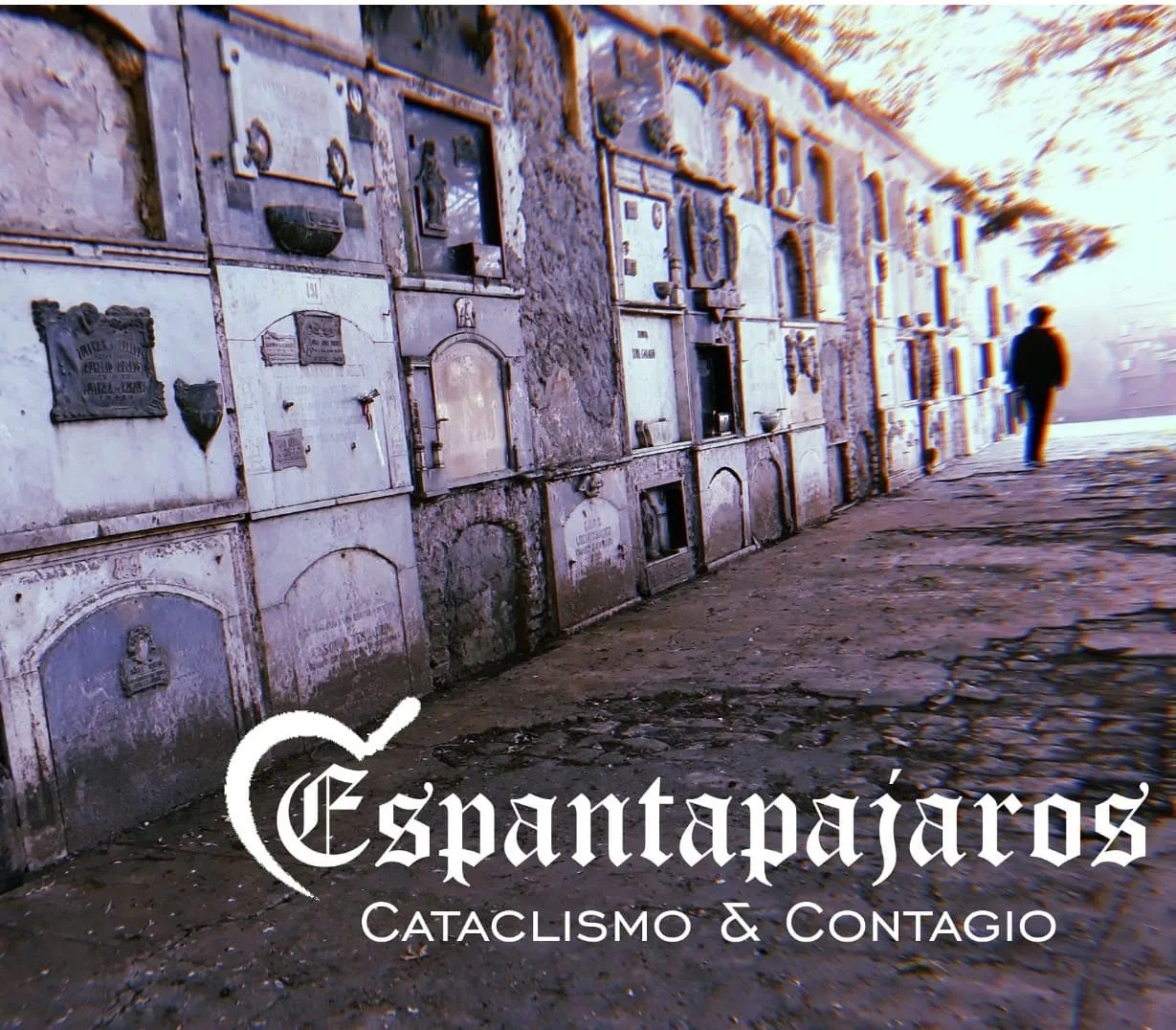 Cataclismo & contagio cover