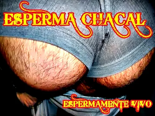 Espermamente vivo cover