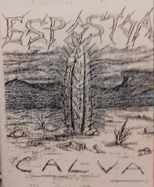 Calva cover