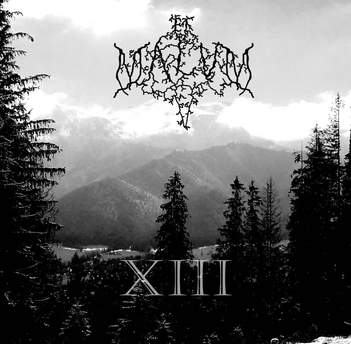 XIII cover