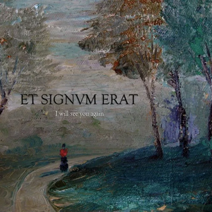 I Will See You Again cover