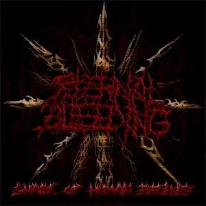 Shape of Human Being cover