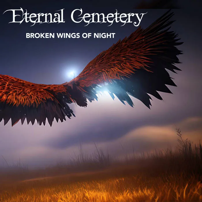 Broken Wings of Night cover