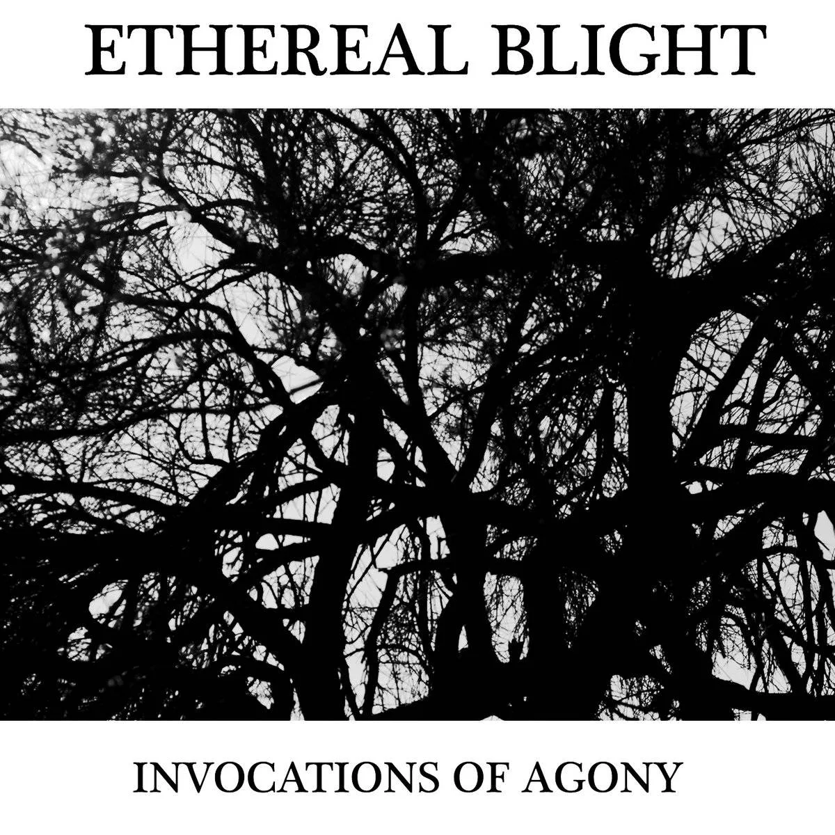 Invocations of Agony cover