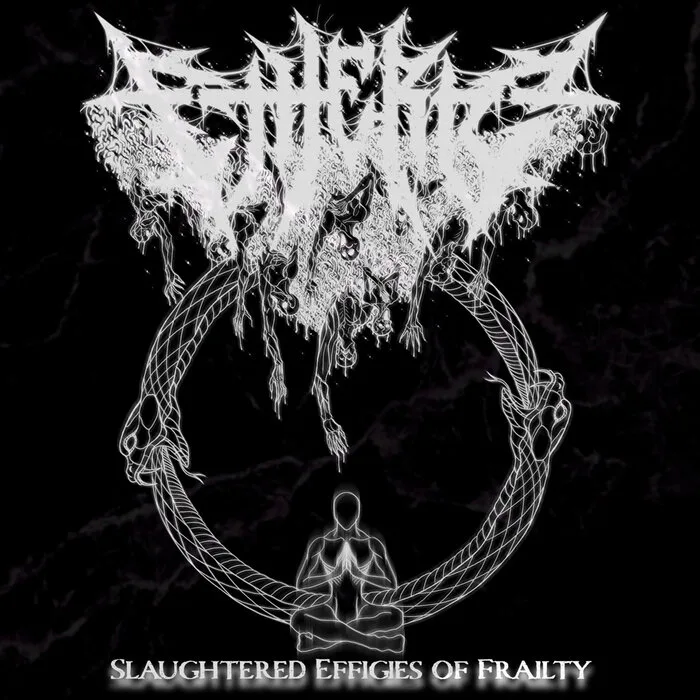 Slaughtered Effigies of Frailty cover