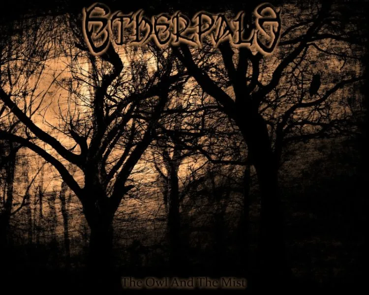 The Owl and the Mist cover