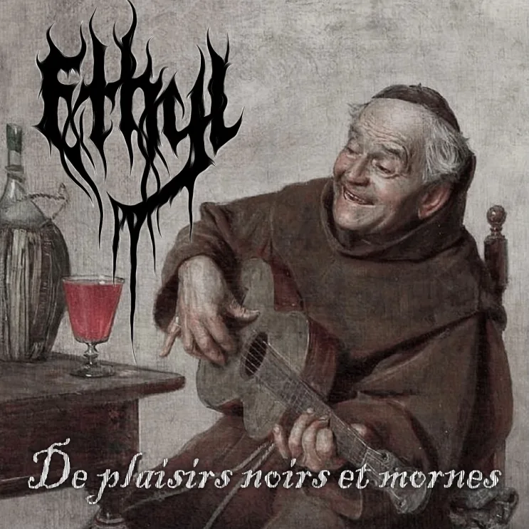 De plaisirs noirs et mornes cover