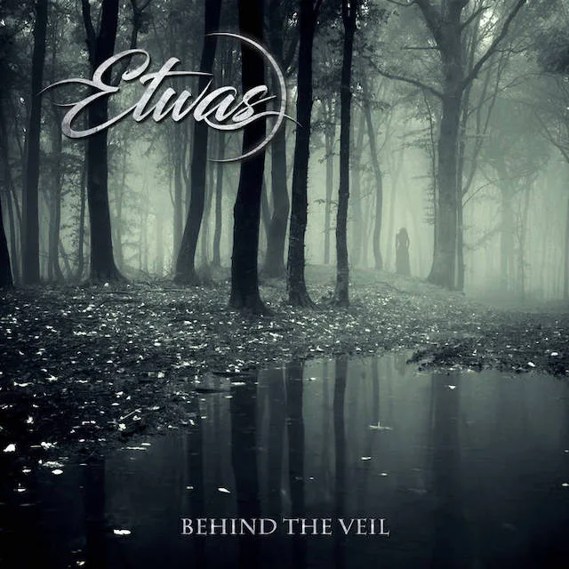 Behind the Veil cover