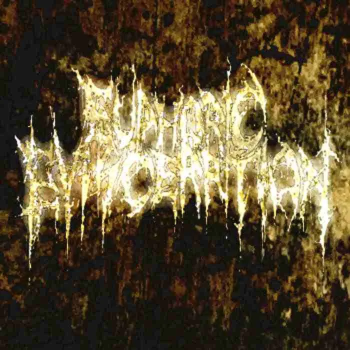 Euphoric Evisceration (2010 Promo) cover