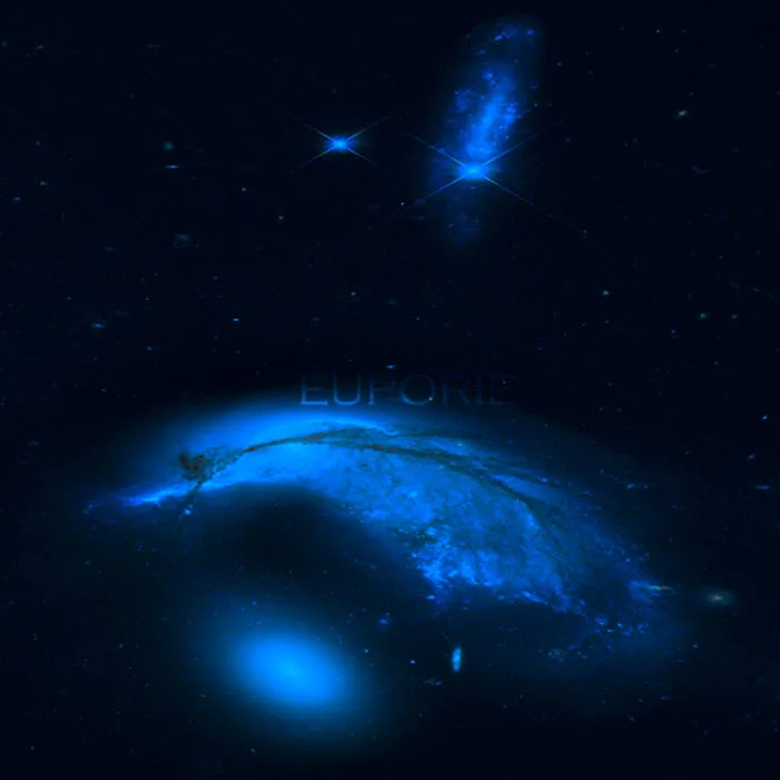 Euporie cover