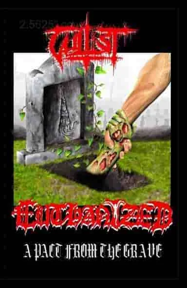 A Pact from the Grave cover