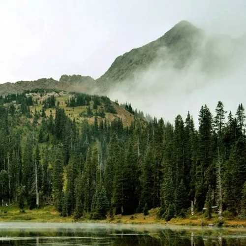 Evergreen Refuge cover