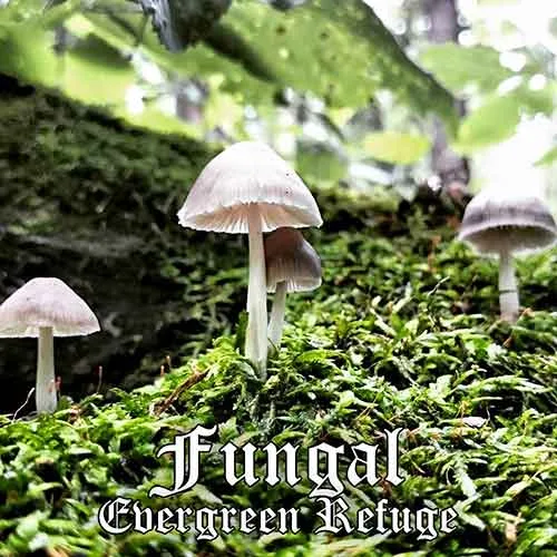 Fungal cover