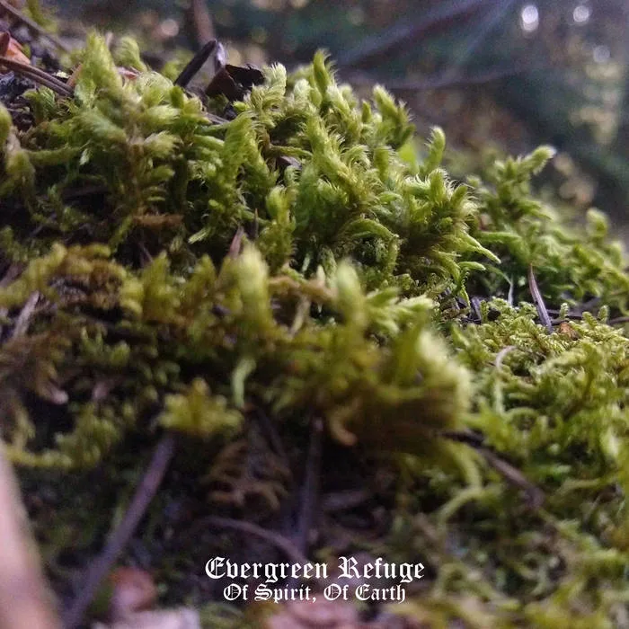 Of Spirit, of Earth cover