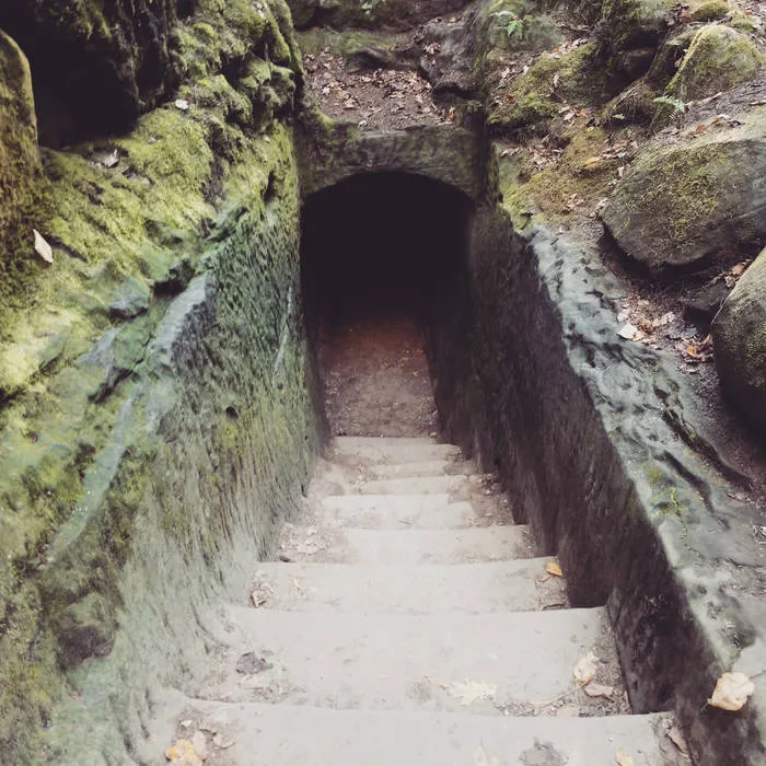 Monstrous Existence cover