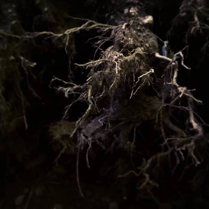 The Thief's Altar cover